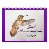 2012 Just Hummingbirds Calendar