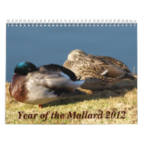 2012 Mallard Calendar