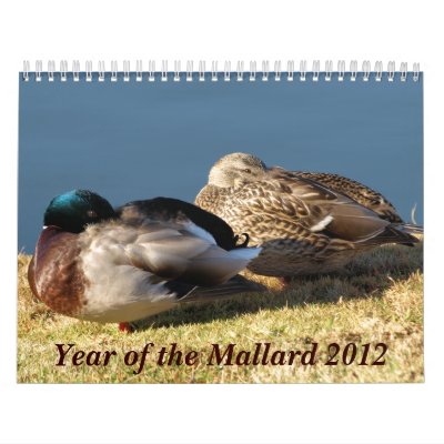 2012 Mallard Calendar by Gilliand_Photo