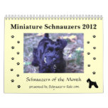2012 Miniature Schnauzer Calendar