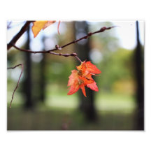 2012 Morton Arboretum Art Photo