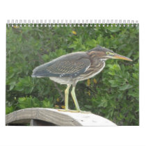 2012 Nature Calendar calendars