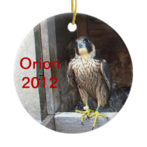 2012 Orion Ornament ornaments