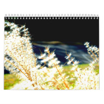 2012 Photography Calendar