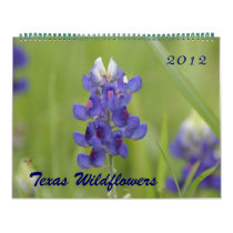 2012 Photos of North Central Texas Wildflowers Calendars