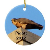 2012 Pigott Ornament ornaments