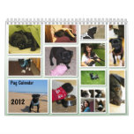 2012 Pug Calendar