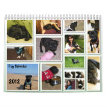 2012 Pug Calendar