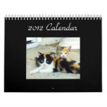2012 Purrfect Year Calendar