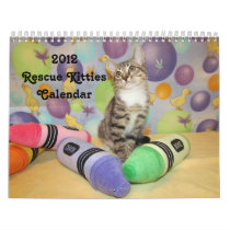 2012 Rescue Kitties Calendar calendars