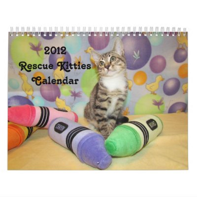2012 Rescue Kitties Calendar by CatsEyeViewGifts