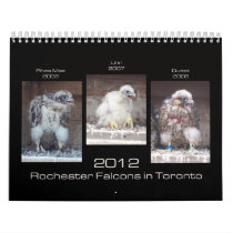 2012 Rochester Falcons in Toronto Calendar