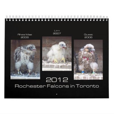 2012 Rochester Falcons in Toronto Calendar 2012 Rochester Falcons in Toronto Calendar