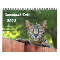 2012 Serval Savannah Cat Calendar