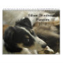 2012 Silken Windhounds Puppies 2 Calendars