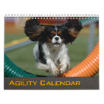 2012 Small Dog Tire Jump Agility Calendar