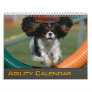 2012 Small Dog Tire Jump Agility Calendar