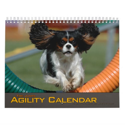 2012 Small Dog Tire Jump Agility Calendar calendar