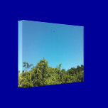 2013-01-18 - Trees. Birds Moon SOSUA SKY BLUE GREE canvas prints