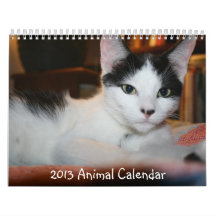 2013 Animal Calendar