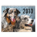 2013 Australian Shepherd Dog Calendar calendars