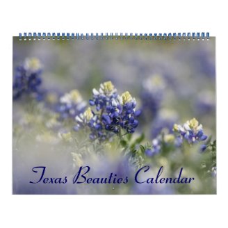 2013 Bluebonnets: Wild Texas Beauties Wall Calendar