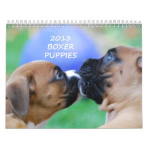 2013 Boxer Puppy Calendar