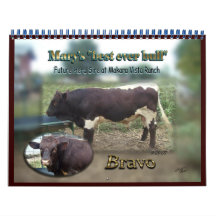 2013 Bravo Bull Calendar-Special order-changes N/A