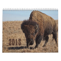 2013 Buffalo Calendar