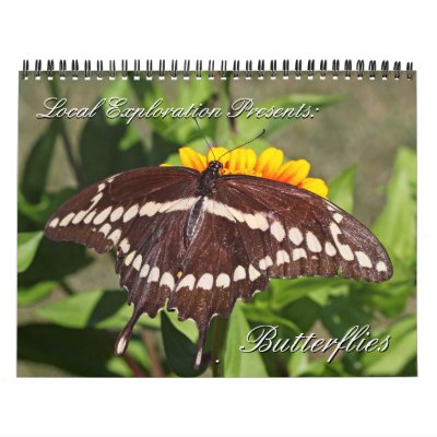 2013 - Butterfly Calendar 2013 - Butterfly Calendar