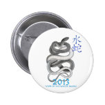 2013 BUTTONS