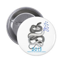 2013 buttons