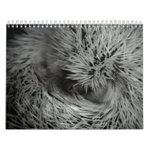 2013 Calendar 3