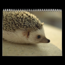 2013 Calendar 4 calendars