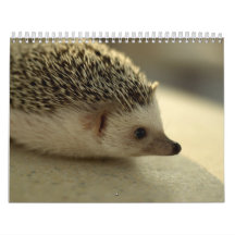 2013 Calendar 4