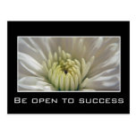 2013 Calendar Be open to success Postcards