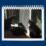 2013 Calendar - Five Fine Felines calendars