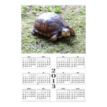 2013 Calendar - Turtle on Moss posters