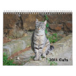 2013 Cat Calendar