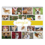 2013 Corgis! Calendar