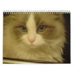 2013 Countdown Calendar