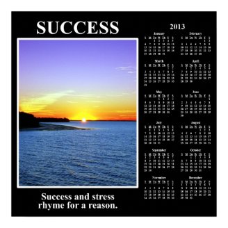 2013 Demotivational Calendar: Meaning of Success Poster