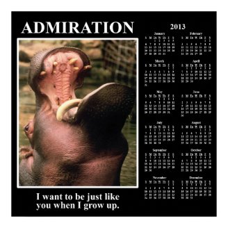 2013 Demotivational Wall Calendar: I Admire You Posters