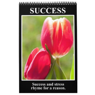 2013 Discouragement & Demotivational Humor Wall Calendar