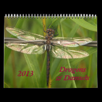 2013 Dragonflies and Damselflies Calendar calendars