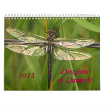 2013 Dragonflies and Damselflies Calendar