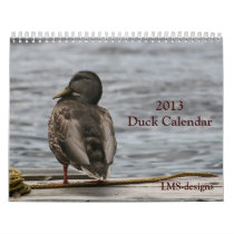 2013 Duck Calendar