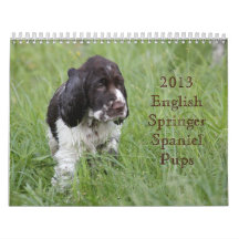 2013 English Springer Spaniel Pups Wall Calendar