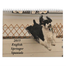 2013 English Springer Spaniels Calendars