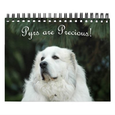 2013 Great Pyrenees Calendar